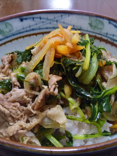 生姜と野菜たっぷりの丼ぶり(^-^)-レシピのメイン写真