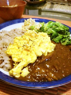 煮物の残り煮汁で茄子トマトキーマカレー-レシピのメイン写真