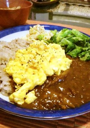 煮物の残り煮汁で茄子トマトキーマカレー-レシピのメイン写真