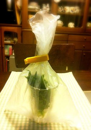 大葉を長持ちさせる方法♪冷蔵庫で新鮮保存-レシピのメイン写真