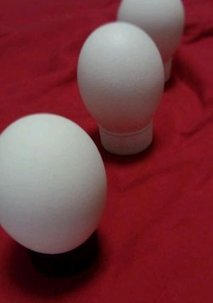 ペットボトルのふたで卵スタンド-レシピのメイン写真