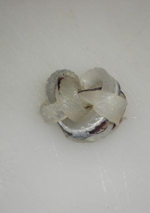 サヨリの飾り切り【お刺身】【お吸い物】-レシピのメイン写真