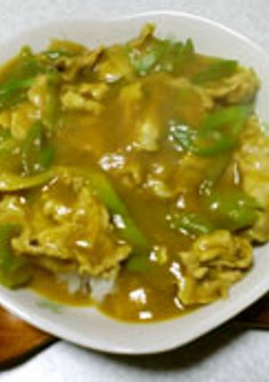 お蕎麦屋さんの和風カレー丼-レシピのメイン写真