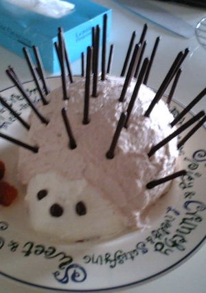 はりねずみのケーキ-レシピのメイン写真