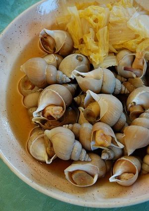 白バイ貝と白菜の煮込み-レシピのメイン写真
