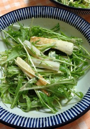 水菜のゴマヨポンサラダ-レシピのメイン写真