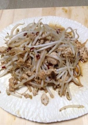 もやしと鶏ミンチの炒め物-レシピのメイン写真