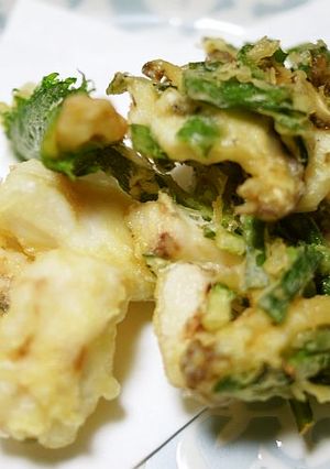 メジナの掻き揚げ-レシピのメイン写真