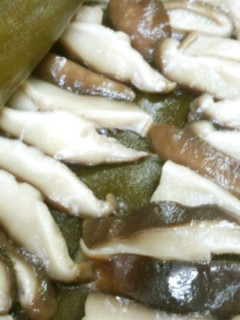 椎茸の昆布じめ-レシピのメイン写真
