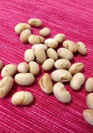 簡単おいしい！煎り大豆の作り方-レシピのメイン写真