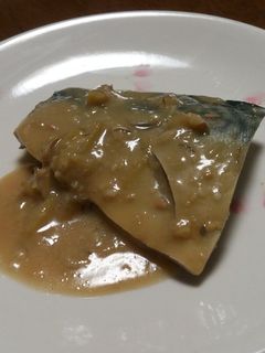 サバの味噌煮-レシピのメイン写真