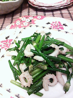 花にらとイカの炒め物☆超簡単☆-レシピのメイン写真