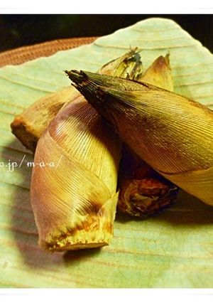 焼いただけ筍-レシピのメイン写真