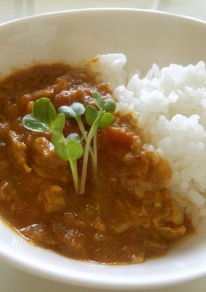 本格インドカレー-レシピのメイン写真