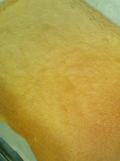 簡単!基本のロールケーキ用スポンジ-レシピのメイン写真