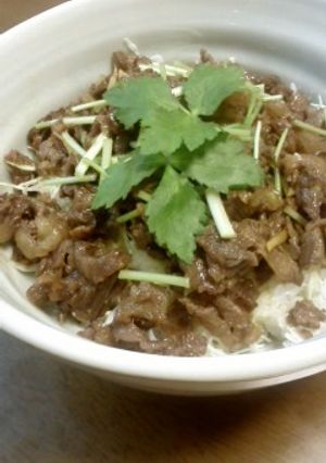牛肉のしぐれ煮丼-レシピのメイン写真