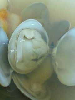はまぐりのお吸い物-レシピのメイン写真