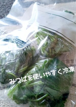 ちょこっと使い食材の冷凍ストック【三つ葉】-レシピのメイン写真