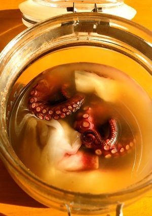 タコの昆布茶マリネ-レシピのメイン写真