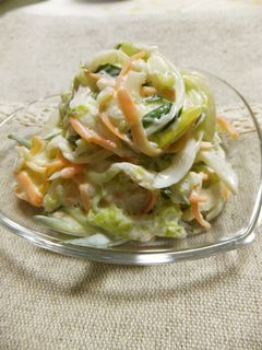 私のお気に入り♪白菜コールスロー-レシピのメイン写真