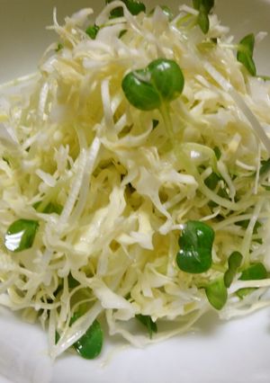 切り方～キャベツの千切り～-レシピのメイン写真