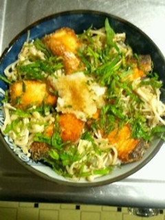 3月5日晩飯【鮭パン粉焼おろしソース丼】-レシピのメイン写真