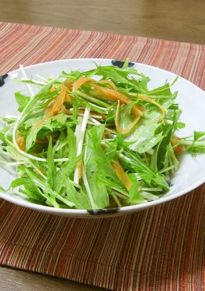 水菜とにんじんのむしゃむしゃサラダ-レシピのメイン写真