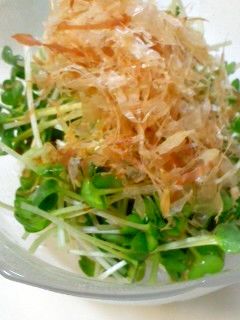 貝割れ大根のおかか和え-レシピのメイン写真