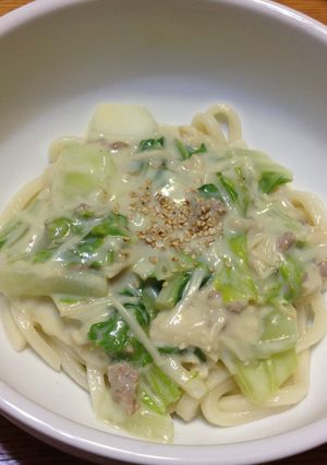 白菜とえのきの豆乳うどん-レシピのメイン写真