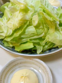 新鮮なキャベツはマヨだけで♪-レシピのメイン写真