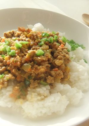 簡単☆美味しい☆まろやかドライカレー-レシピのメイン写真