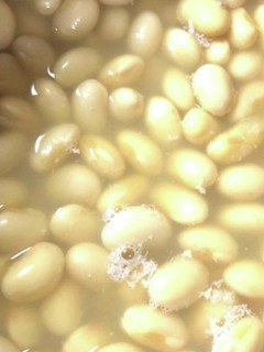大豆の煮方-レシピのメイン写真