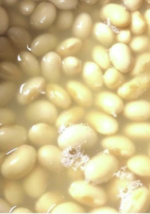 大豆の煮方-レシピのメイン写真