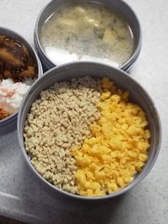 そぼろ弁当-レシピのメイン写真