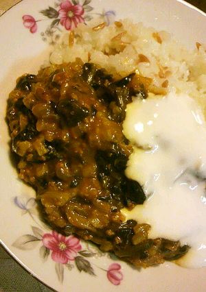 トルコ料理＊ほうれん草の煮込み。-レシピのメイン写真