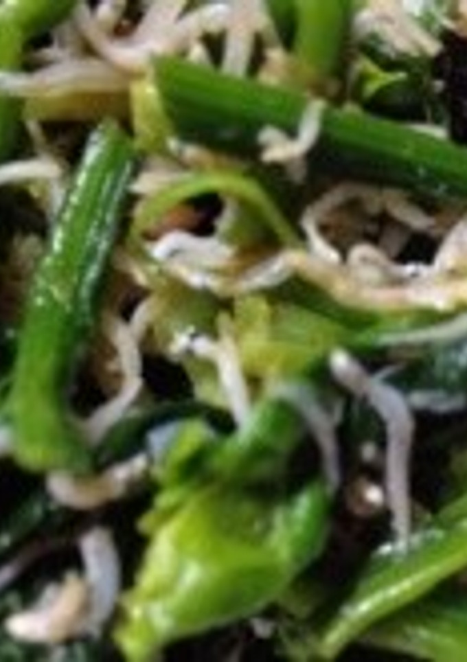 ほうれん草としらすのピリ辛和え♪簡単-レシピのメイン写真