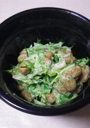 納豆水菜サラダ-レシピのメイン写真