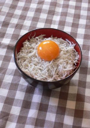 材料3つ☆しらす丼-レシピのメイン写真