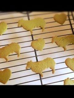 マーガリン25gでOK♡ 抹茶クッキー-レシピのメイン写真