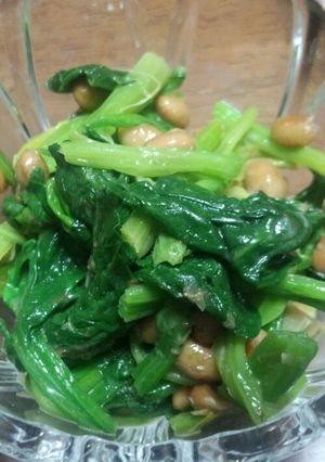 ほうれん草ナムルに納豆いれちゃった(^^-レシピのメイン写真