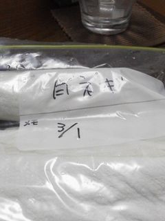 白ネギの保存-レシピのメイン写真