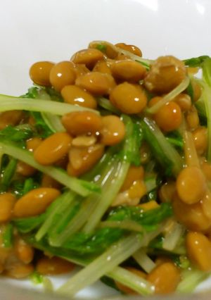 ネバつるん♪水菜のお浸し-レシピのメイン写真