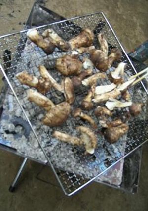 アウトドア料理：松茸の炭火焼き！！！-レシピのメイン写真