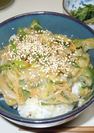 地味だが美味。フライパン一つでネギ丼!-レシピのメイン写真