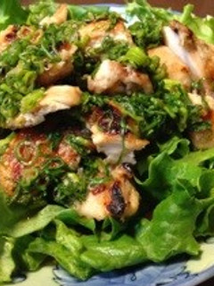 鶏肉のネギソース-レシピのメイン写真