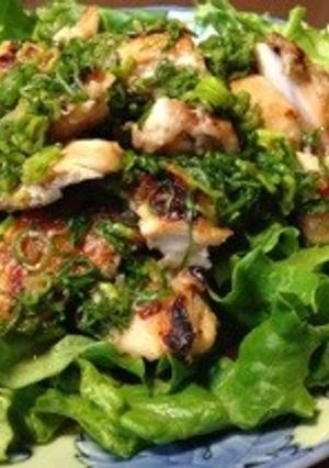 鶏肉のネギソース-レシピのメイン写真