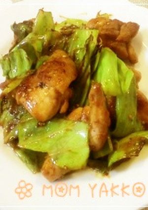 お弁当に☆鶏肉のコチュジャン炒め-レシピのメイン写真