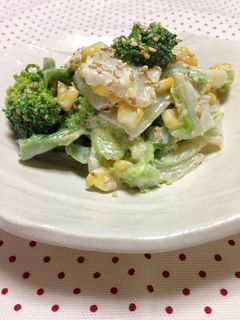 白菜の和風サラダ★マヨ醤油仕立て-レシピのメイン写真