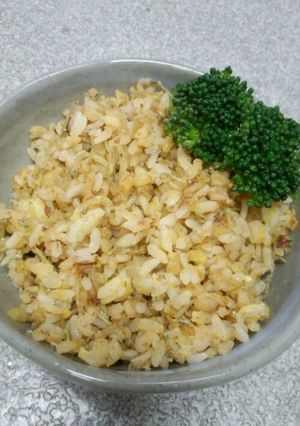 ねこめし(=‘ｘ‘=)卵とじゃこの焼飯-レシピのメイン写真
