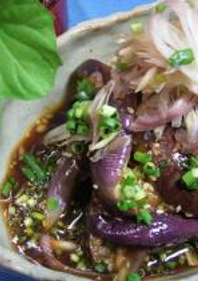 レンジ蒸しなすの中華風-レシピのメイン写真
